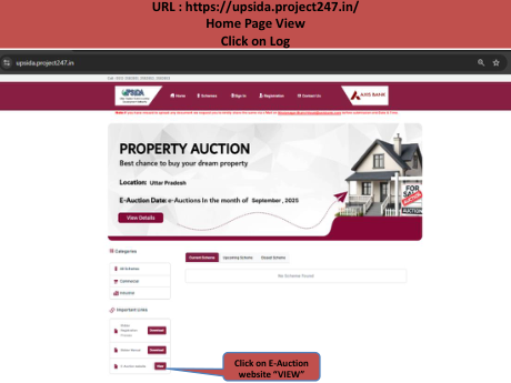 Auction process walkthrough: signing in, paying EMD and bidding